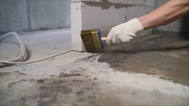 SJ Waterproofing Pros Basement Waterproofing coverage map for Woodlawn, TN and surrounding area